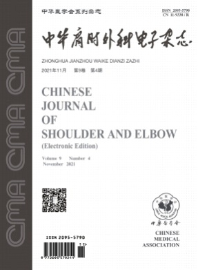 中华肩肘外科电子杂志杂志